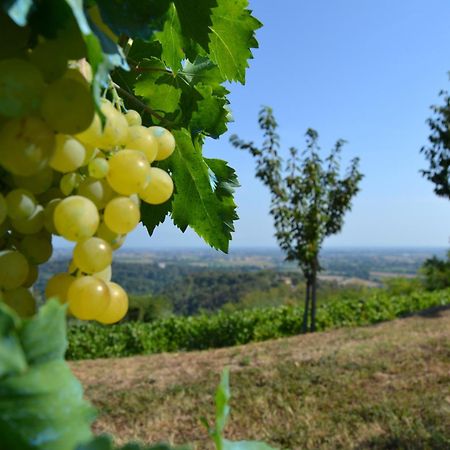 Country House Bucaneve Rovolon Esterno foto